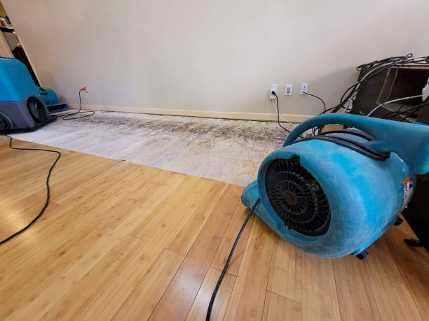 Professional Sewage Cleanup technician working in Leicester, NC